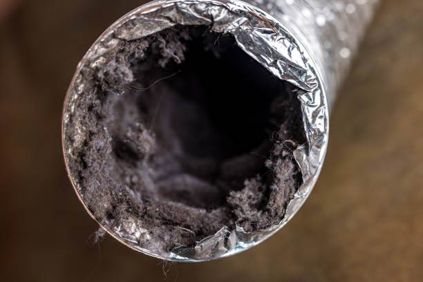 Best Dryer Vent Cleaning Services  in Altoona, PA